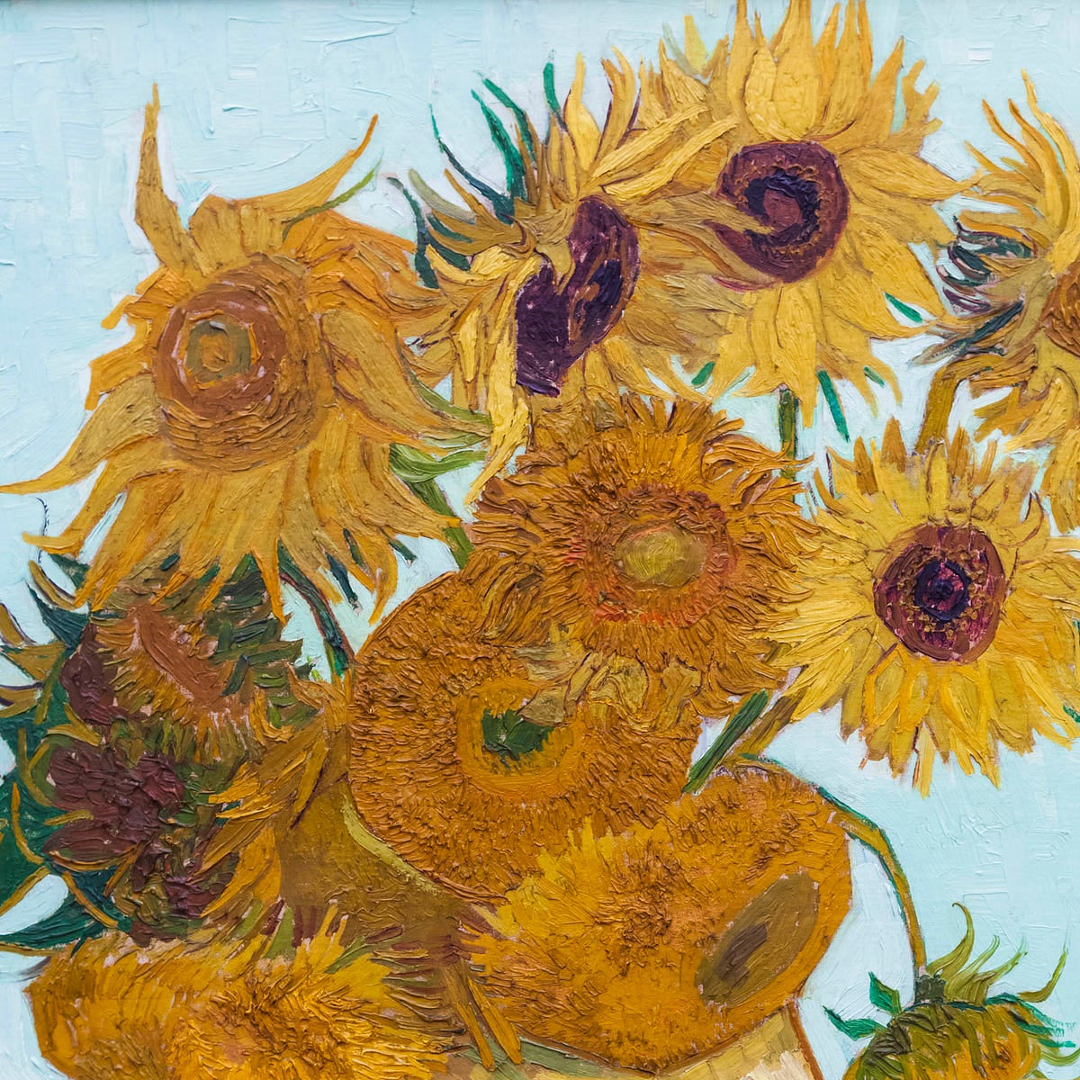 Sunflowers of Van Gogh